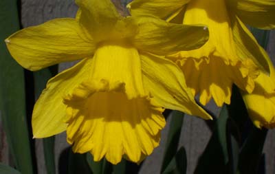 gallery_1455_5612.jpg