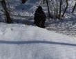 tn_gallery_1455_9780.jpg
