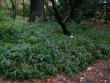 tn_gallery_3388_1459_2677.jpg