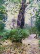 tn_gallery_3388_1459_10473.jpg