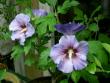 tn_gallery_3363_1475_866.jpg