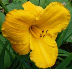 gallery_7131_1370_23067.jpg