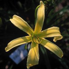 gallery_7131_1370_9862.jpg