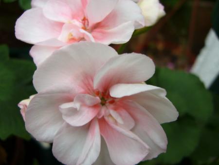 gallery_13006_1400_15430.jpg