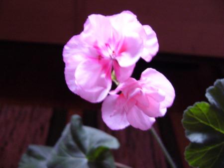 gallery_13006_1400_39592.jpg
