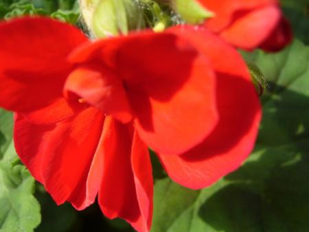 gallery_13006_1400_59262.jpg