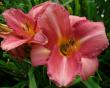 tn_gallery_7131_1370_4069.jpg