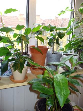 gallery_10231_831_14054.jpg