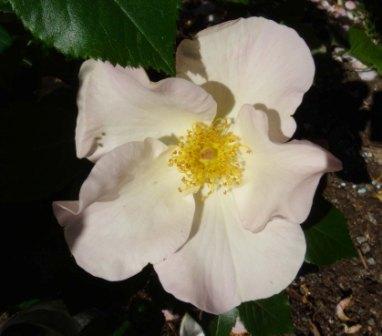 gallery_12879_1299_22327.jpg