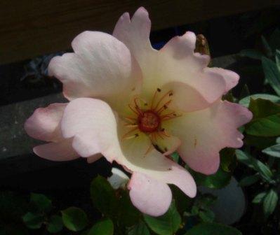 gallery_12879_1299_20576.jpg