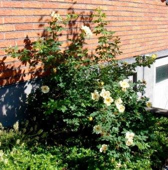 gallery_12879_1299_577.jpg