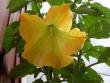 tn_gallery_9377_1496_13767.jpg