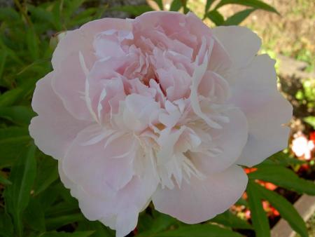 gallery_9377_1496_2834.jpg