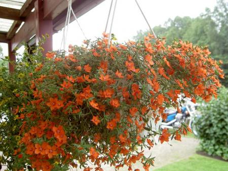 gallery_9377_1496_36626.jpg