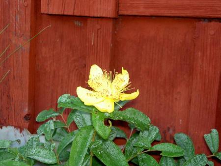 gallery_9377_1496_65996.jpg