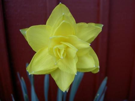 gallery_9377_1496_7393.jpg
