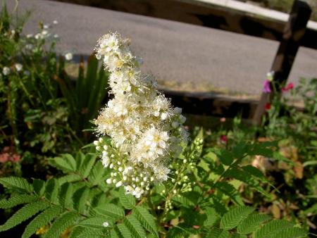 gallery_9377_1496_75727.jpg