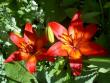 tn_gallery_9377_1496_18398.jpg
