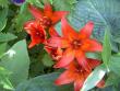tn_gallery_9377_1496_42937.jpg