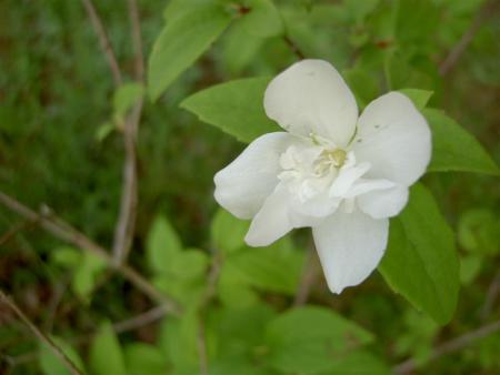gallery_9377_1496_12936.jpg