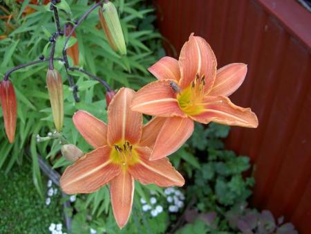 gallery_9377_1496_18204.jpg