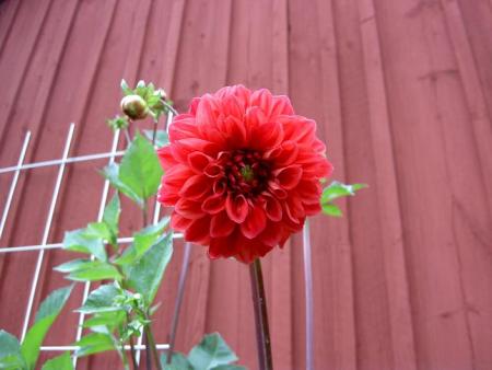 gallery_9377_1496_18916.jpg