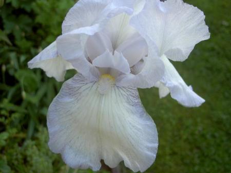 gallery_9377_1496_20054.jpg