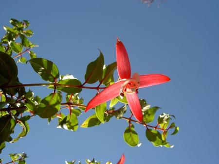 gallery_9377_1496_28532.jpg