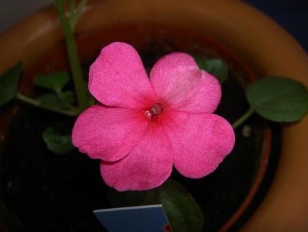 gallery_9377_1496_30316.jpg