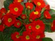 tn_gallery_9377_1496_12234.jpg