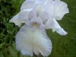 tn_gallery_9377_1496_20054.jpg