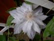 tn_gallery_9377_1496_34724.jpg