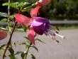 tn_gallery_9377_1496_352.jpg