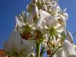 tn_gallery_9377_1496_49742.jpg