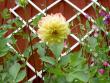 tn_gallery_9377_1496_64365.jpg