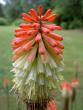 tn_gallery_9377_1496_49762.jpg