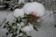 tn_gallery_12739_1185_29883.jpg