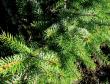 tn_gallery_387_1504_257821.jpg