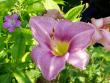 tn_gallery_6778_1392_98534.jpg
