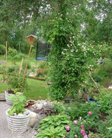 gallery_12879_1508_67692.jpg