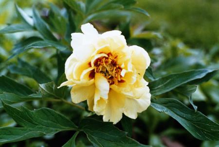 gallery_2460_1500_16714.jpg