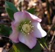 tn_gallery_387_1502_14461.jpg
