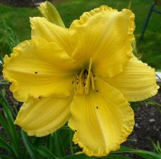 gallery_7131_1370_3603.jpg