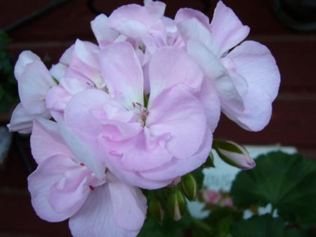 gallery_13006_1400_25717.jpg