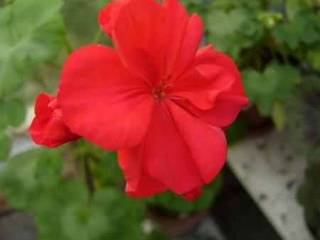 gallery_13006_1400_26905.jpg