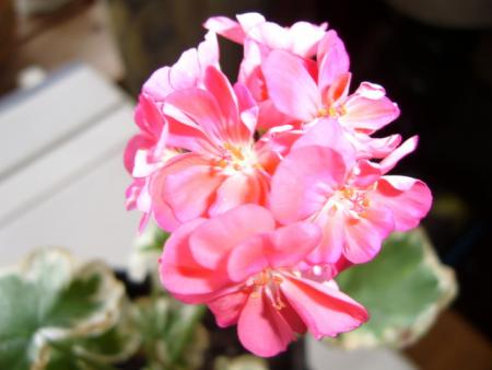 gallery_13006_1400_27076.jpg