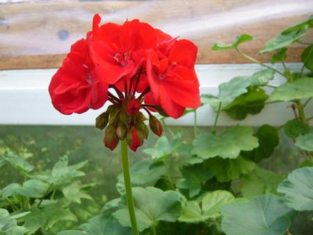 gallery_13006_1400_76947.jpg