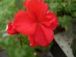 tn_gallery_13006_1400_26905.jpg