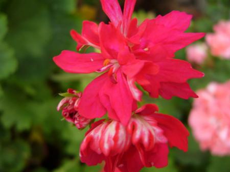 gallery_13006_1400_34810.jpg