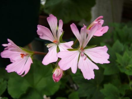 gallery_13006_1400_36718.jpg
